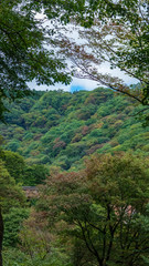 Fototapeta premium 碓氷峠第三橋梁 めがね橋