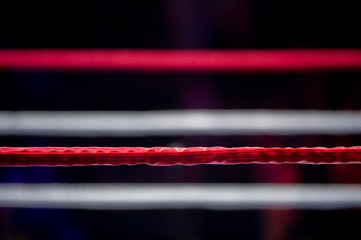 Boxing ring ropes with a blur spotlight
