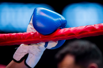  hand of fighter boxing in glove lays ropes of ring