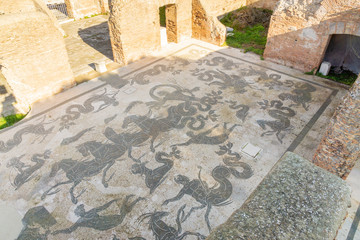 Ostia antica in Rome, Italy. Detail of Neptune's triumph mosaic in the frigidarium of Neptune's baths