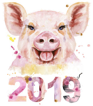 Watercolor portrait of pig with year 2019 for decoration