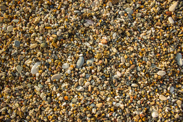 sea shore wet colorful stones background texture surface, copy space 