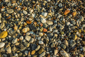 sea shore wet colorful stones background texture surface, copy space 