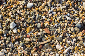 sea shore wet colorful stones background texture surface, copy space 