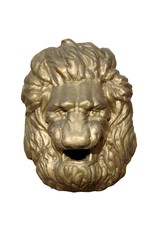 Lion head isolated on white.