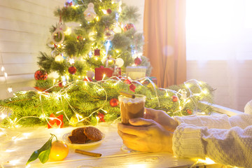 Woman hands ith cup of hot chocolate on christnas tree background