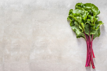 Green beet leaves or swiss chard. Fresh farm vegetable leafs, top view