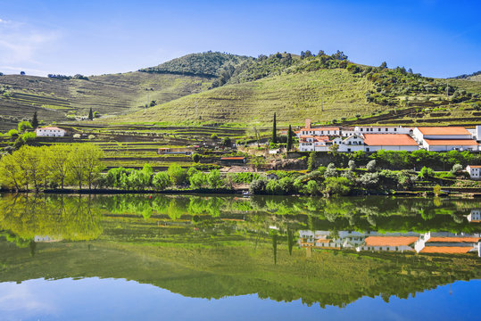 Douro Valley. Vineyards and landscape near Pinhao town, Portugal