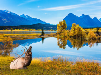 Artificial colossal pond in the Rockies