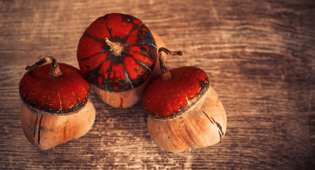little pumkins isolated on vintage wooden panel 