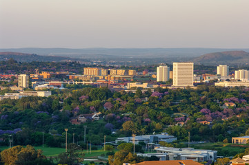 University of Pretoria campus in evening light with Jacarandas