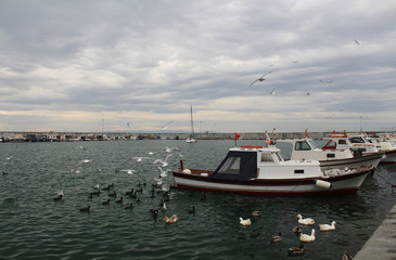 Fototapeta premium Sunset with boats and storks docked.