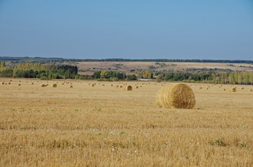 Rural landscape during autumn.