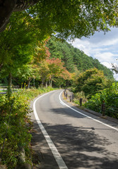 Fototapeta na wymiar Curved road way of Kohoku view line in Nikko, Japan