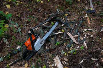 Chainsaw lies on the wood in the forest