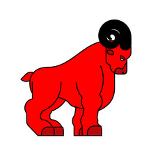 Red ram isolated. Horned sheep. Farm animal