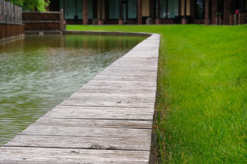 Lawn in summer city. Green grass of lawn has recently been cut and watered. Landscape design with...