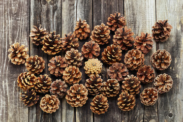 Pine cone over wooden background. Top view.