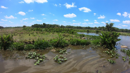 Florida Seminolen, Airboat ride at Everglades National Park in USA. Popular place for tourists, wild nature and animals.
