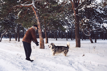 Malamute man and dog playing in the park in winter.