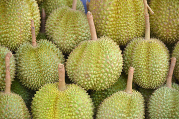 Fototapeta premium Durian fruit