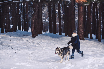 dog and boy run in the winter in the forest. The concept of active holiday in the winter holidays