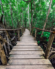 Narrow wooden pedestrian bridge in the forest