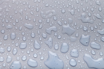 Drops of water on a color background. Gray. Shallow depth of field. Selective focus