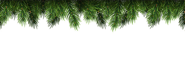 Fototapeta na wymiar Horizontal Christmas border frame with fir branches, pine cones. Vector illustration.