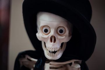 Skeleton with hat on head and cloak. Halloween decoration. Close-up view with blurred background.