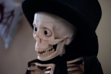 Skeleton with hat on head and cloak. Halloween decoration. Close-up view with blurred background.