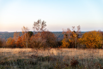 Couleurs d'automne en fin de journée