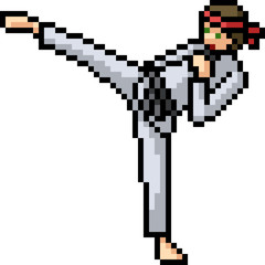 vector pixel art martial artist