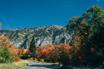 Obraz premium Curvy road in colorful mountains