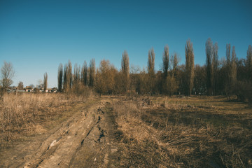 Dry dusty field and trees behind