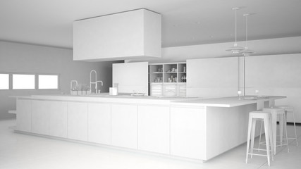 Total white project of minimalistic professional modern kitchen with accessories, contemporary interior design