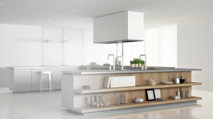 Unfinished project of minimalistic professional modern wooden kitchen with accessories, contemporary interior design