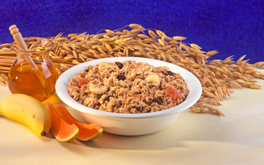 BOWL OF GRANOLA WITH FRUIT