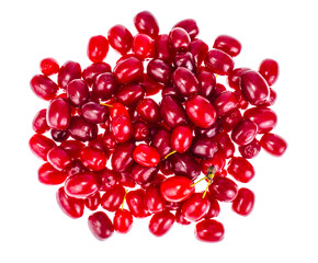 Red ripe berries of Cornus mas