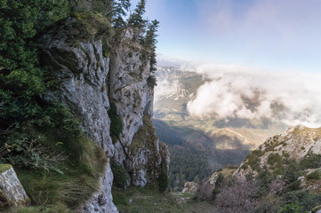 Le Caunil, la forêt d'En Malo