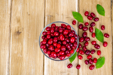 Autumn ripe cornel berries on wooden table