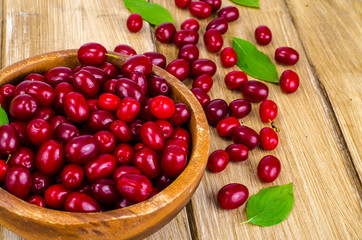 Autumn ripe cornel berries on wooden table
