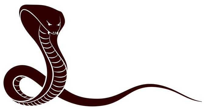 Sketch of a snake.