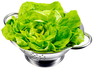 LETTUCE IN COLLANDER CUT OUT