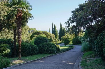 Park alley in Livadia