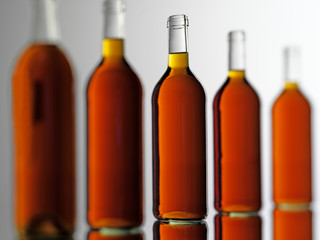 ELDERFLOWER WINE BOTTLES