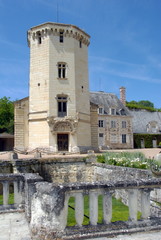 Fototapeta na wymiar Château de Saint-Aignan, ville de Saint-Aignan-sur-Cher, département du Loir et Cher, France