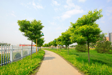 path in the park