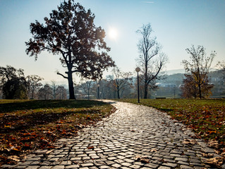 coblestone path in the park