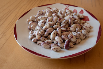 Haricots coco de Prague écossés dans une assiette sur table bois